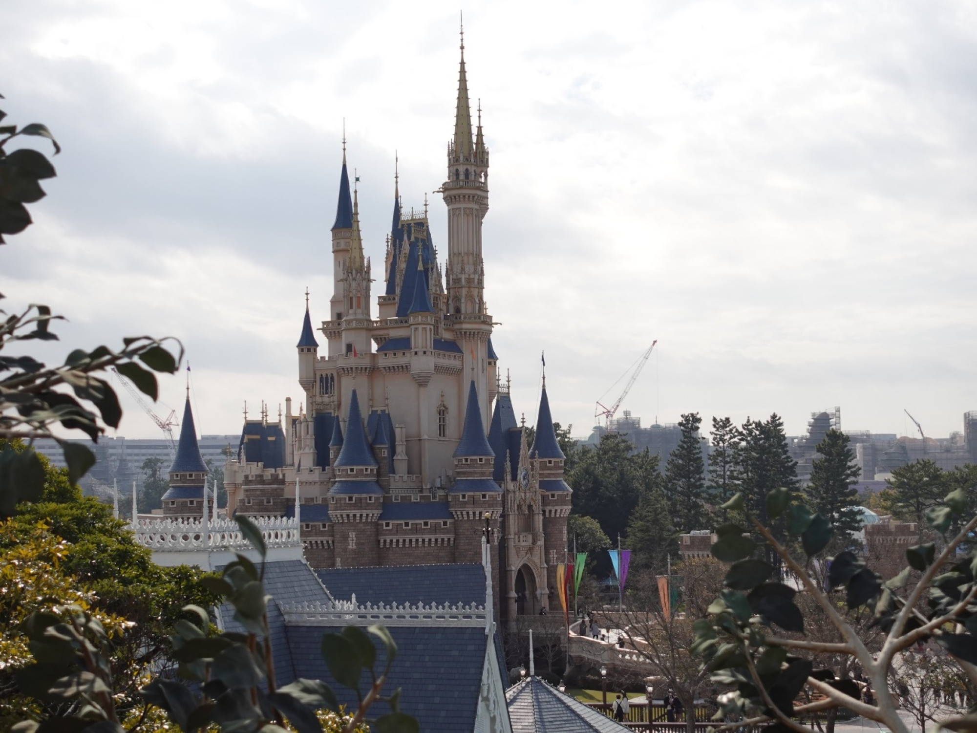 スイスファミリー ツリーハウス 昼のシンデレラ城 キャステル Castel ディズニー情報 スイスファミリー ツリーハウス 昼のシンデレラ城 キャステル Castel ディズニー情報