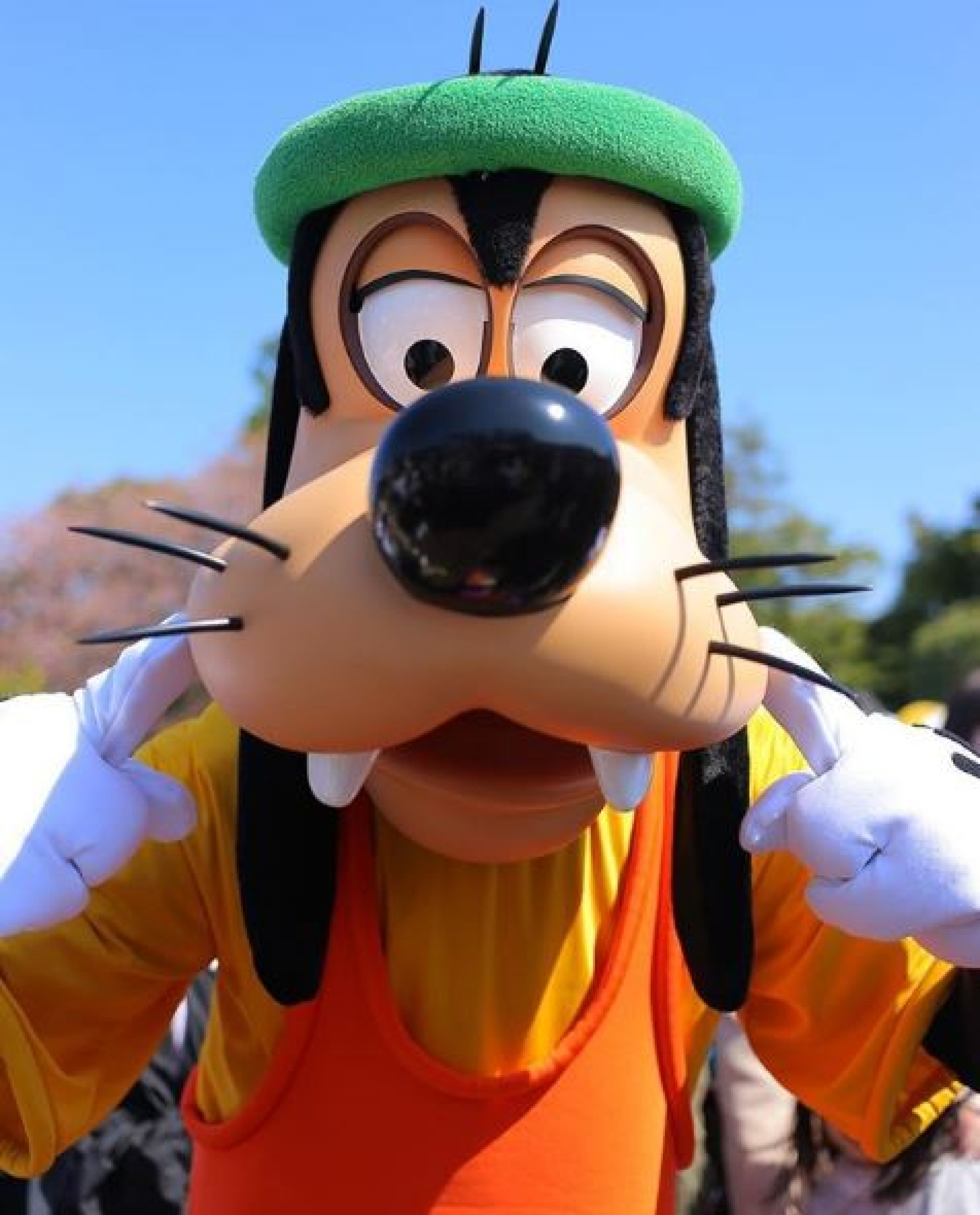 グーフィーの声と言えば キャステル Castel ディズニー情報