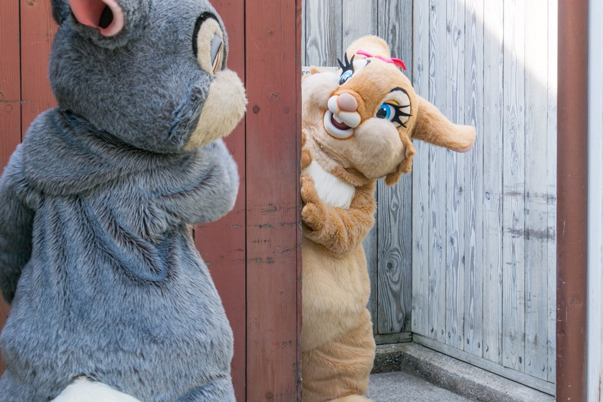 ディズニーランド デート プラン