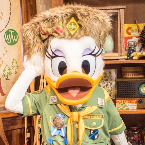 必見 デイジーダックはどんなキャラ 声の秘密やドナルドとの衝撃な過去まとめ 会える場所やグッズも 必見 デイジーダックはどんなキャラ 声の秘密やドナルドとの衝撃な過去まとめ 会える場所やグッズも