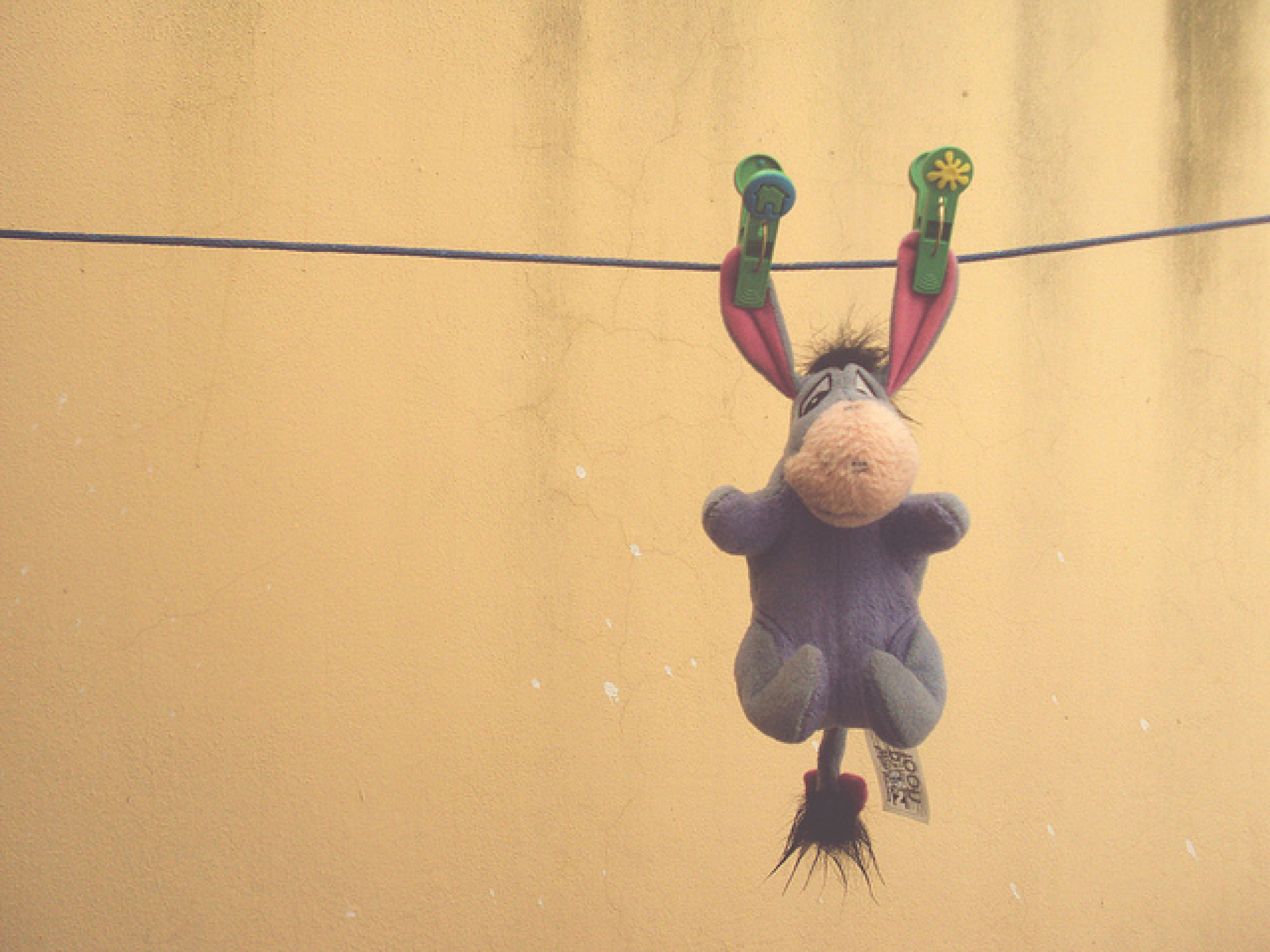 イーヨーはロバのぬいぐるみ キャステル Castel ディズニー情報 イーヨーはロバのぬいぐるみ キャステル Castel ディズニー情報