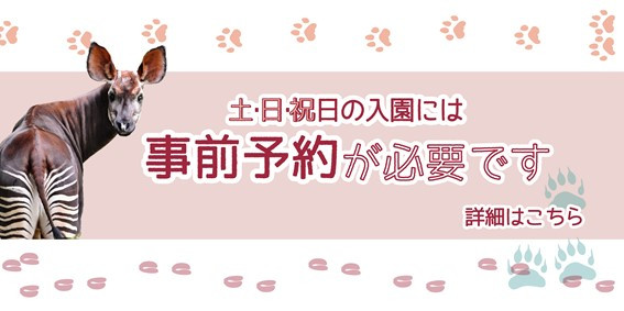 21 よこはま動物園ズーラシアの予約を解説 土日祝の入園予約は終了 過去の手順や注意点まとめ