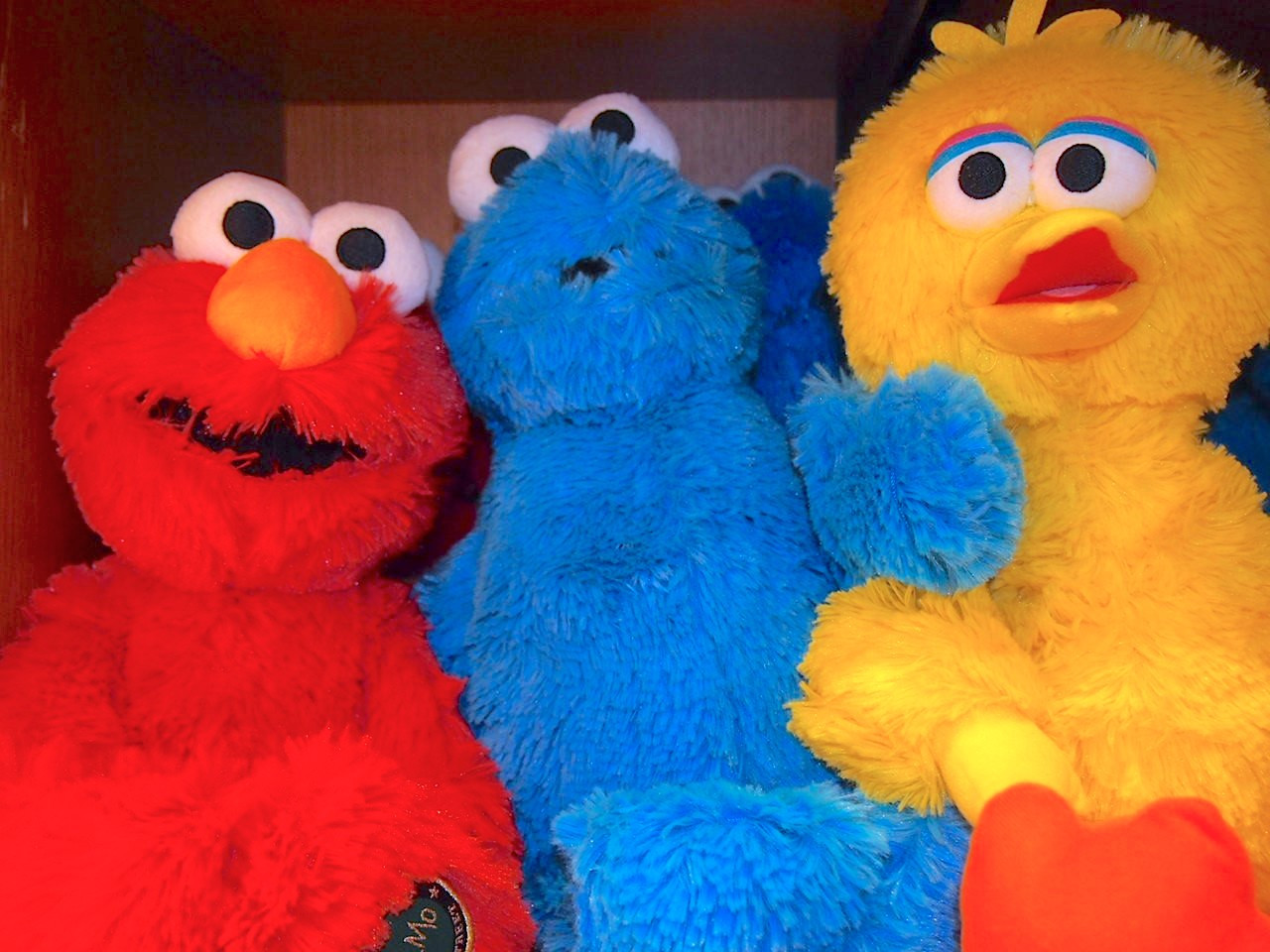 USJ】セサミストリート4-Dムービーマジックまとめ！ストーリーや